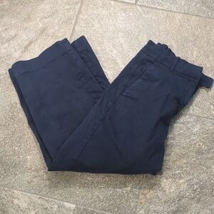 Everlane Dark Blue Chinos